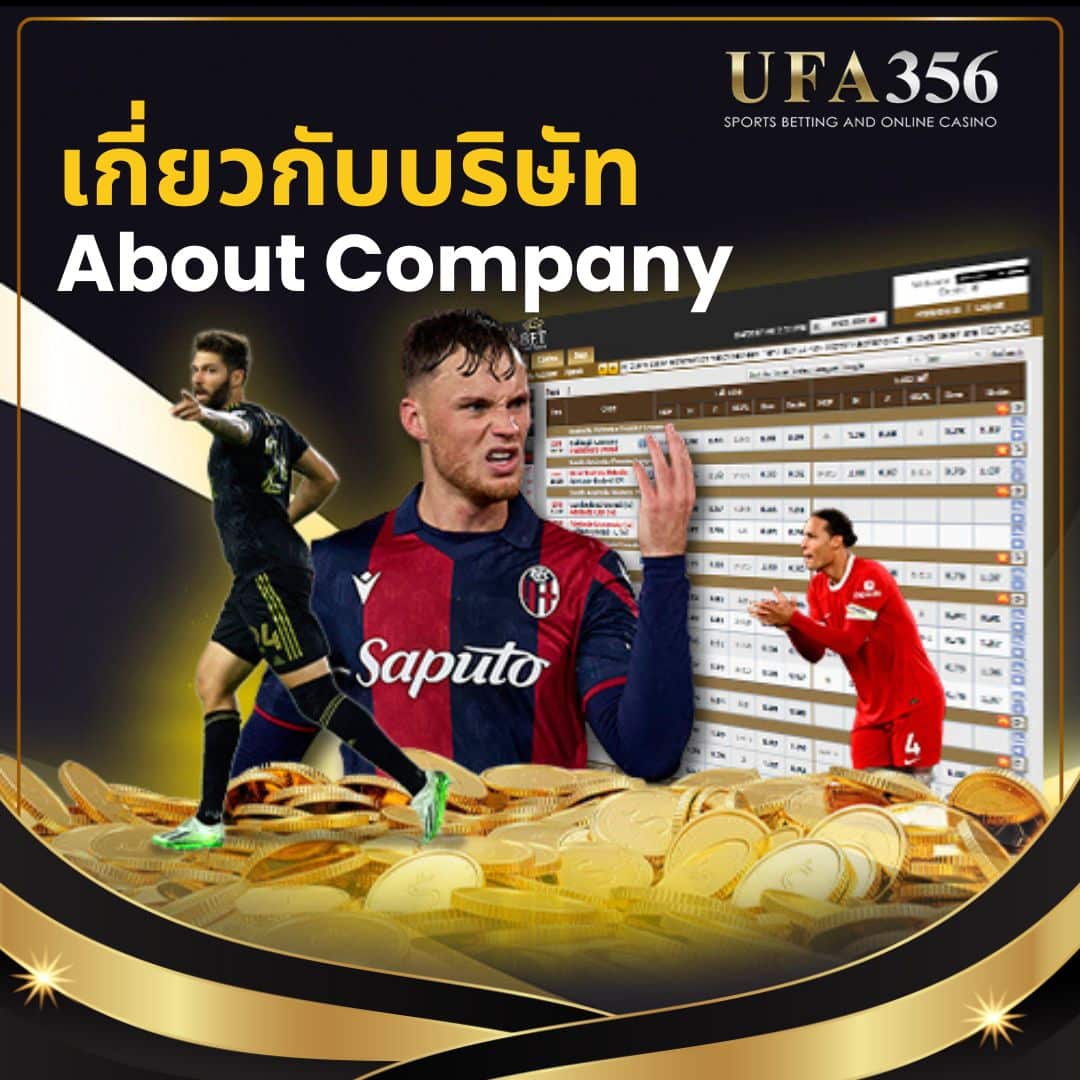 เกี่ยวกับบริษัท